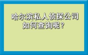 哈尔滨私人侦探公司如何查询呢？