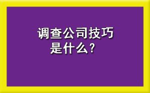 调查公司技巧是什么？